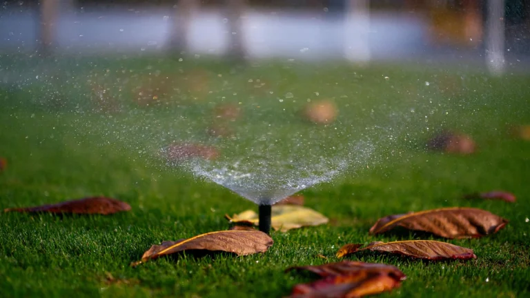 Branding Web Design Development Seo Irrigation System Company Southern Florida